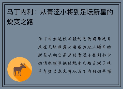 马丁内利：从青涩小将到足坛新星的蜕变之路