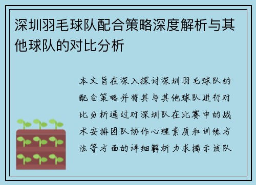 深圳羽毛球队配合策略深度解析与其他球队的对比分析