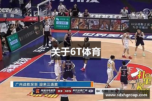 关于6T体育